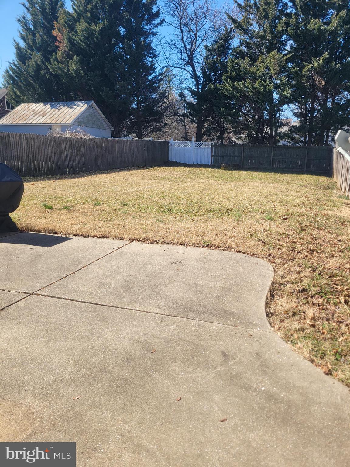 48 Webster Street Westminster, MD 21157 - Photo 23 of 25 a view of yard with swimming pool and trees