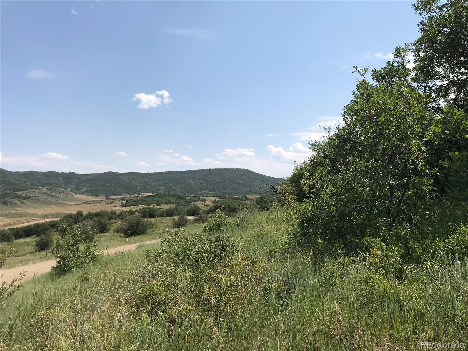 25185 Rainbow Ridge Oak Creek, CO 80467 - Photo 3 of 22