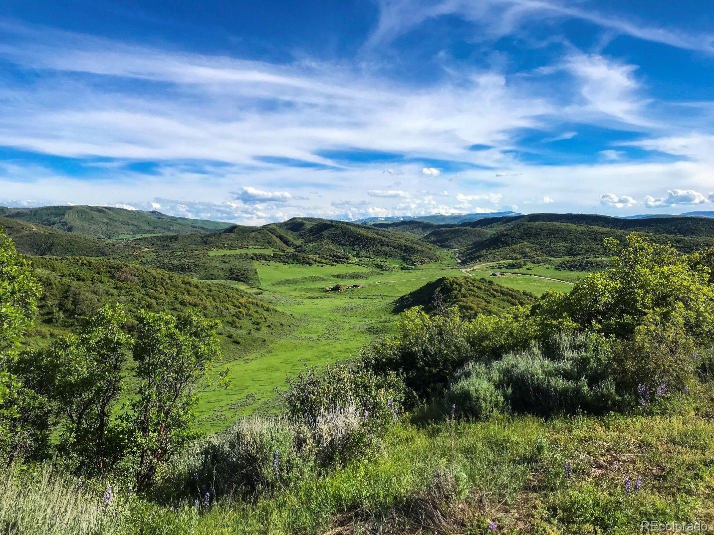 25185 Rainbow Ridge Oak Creek, CO 80467 - Photo 4 of 22