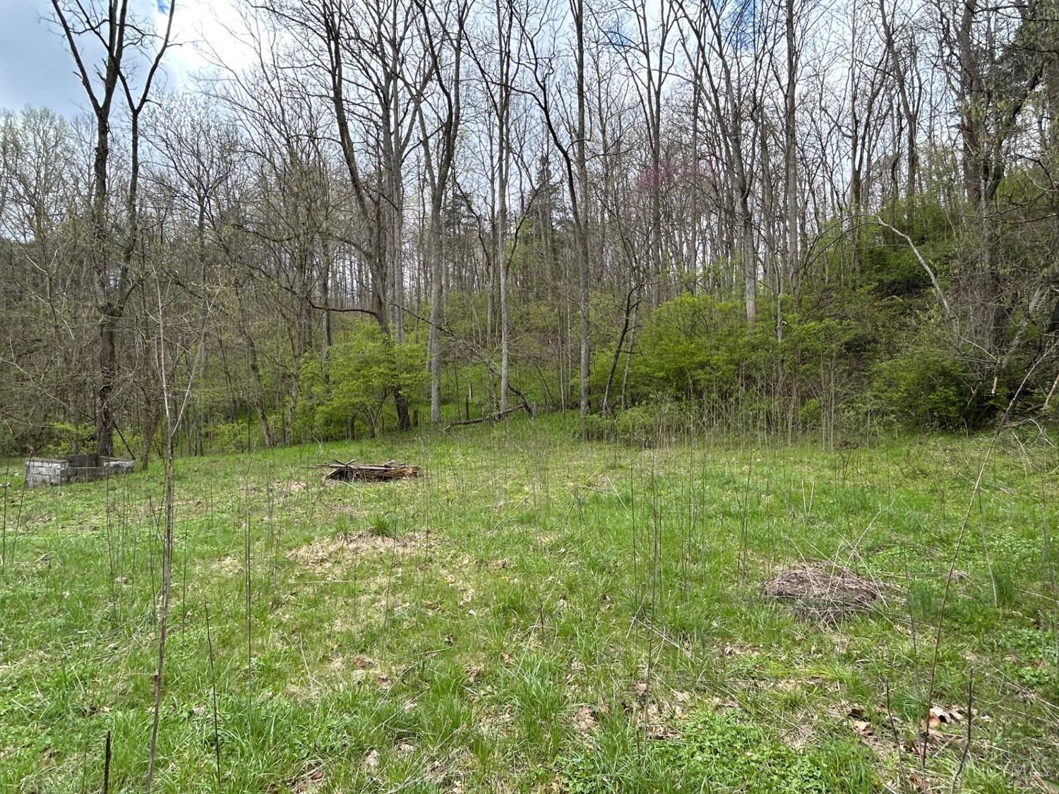 619 Felicity Cedron Rural Road Felicity, OH 45120 - Photo 4 of 15