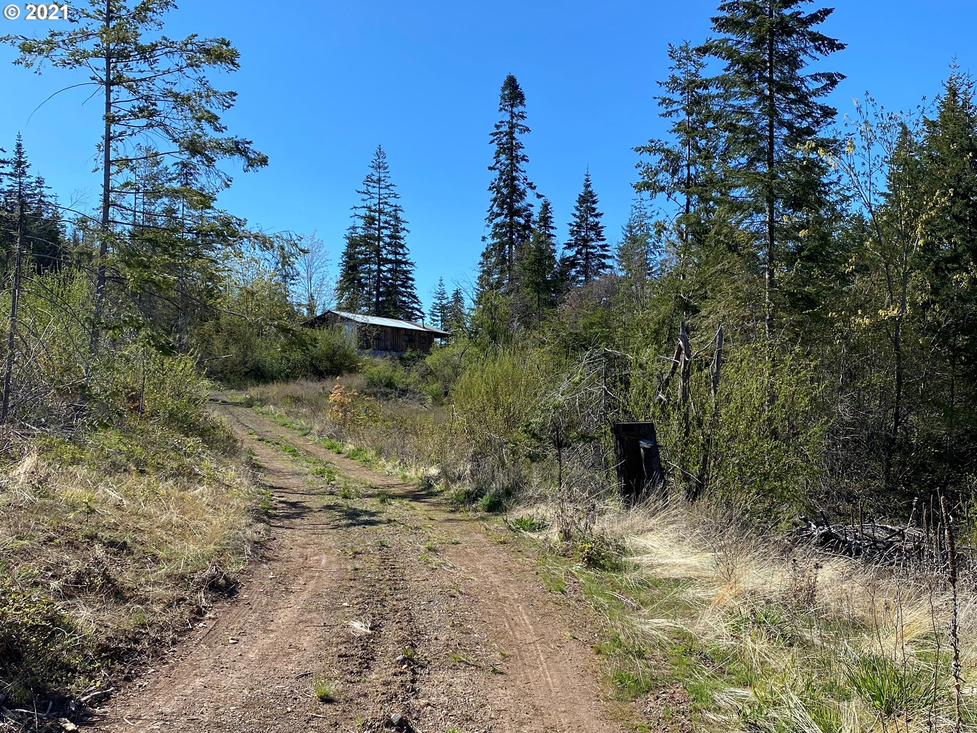 111 Appleton Road Lyle, WA 98635 - Photo 12 of 18 Gallery Image 12