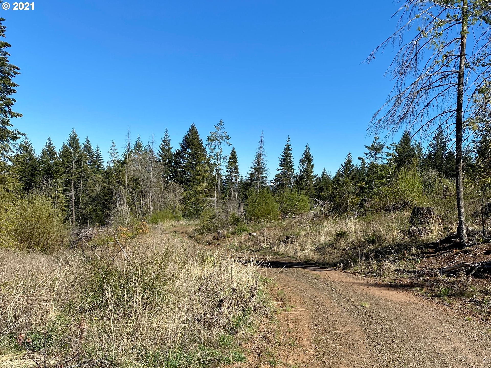 111 Appleton Road Lyle, WA 98635 - Photo 13 of 18 Gallery Image 13