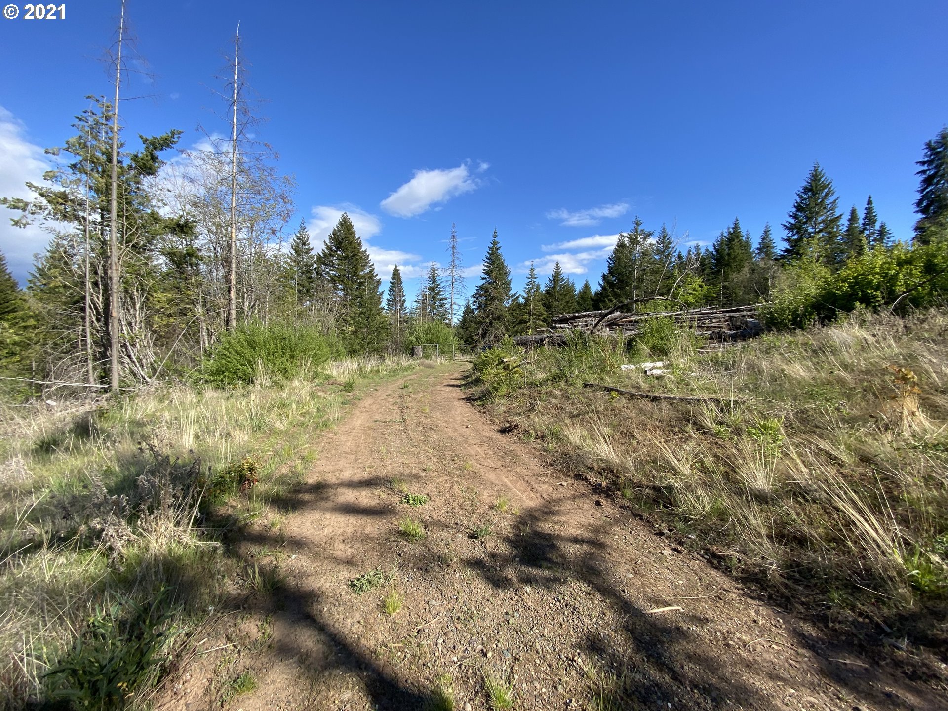 111 Appleton Road Lyle, WA 98635 - Photo 16 of 18 Gallery Image 16