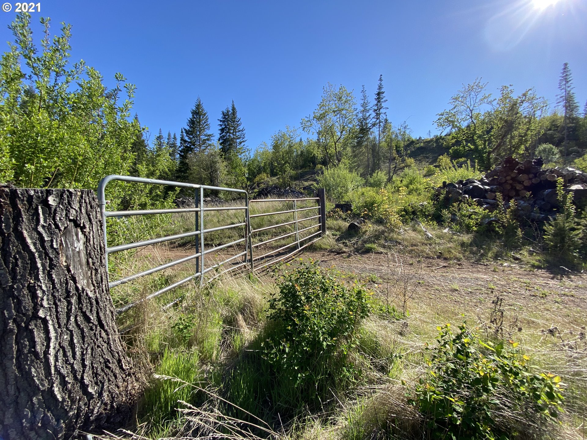 111 Appleton Road Lyle, WA 98635 - Photo 17 of 18 Gallery Image 17