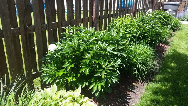 $289,900 | 533 Glen Avenue, Romeoville, IL 60446