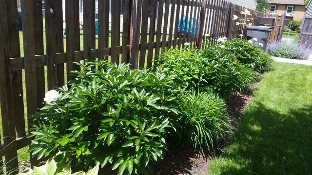 $289,900 | 533 Glen Avenue, Romeoville, IL 60446