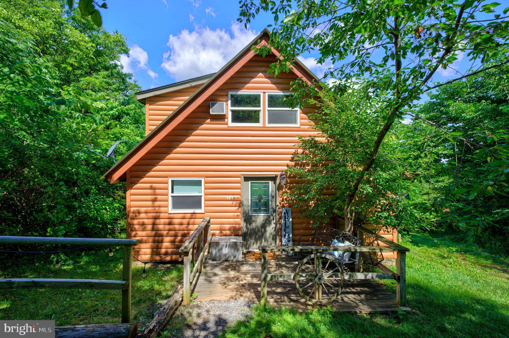 707 Overlook Drive Rileyville, VA 22650 - Photo 1 of 94