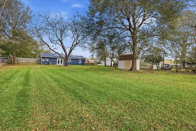 a view of a field with tree s