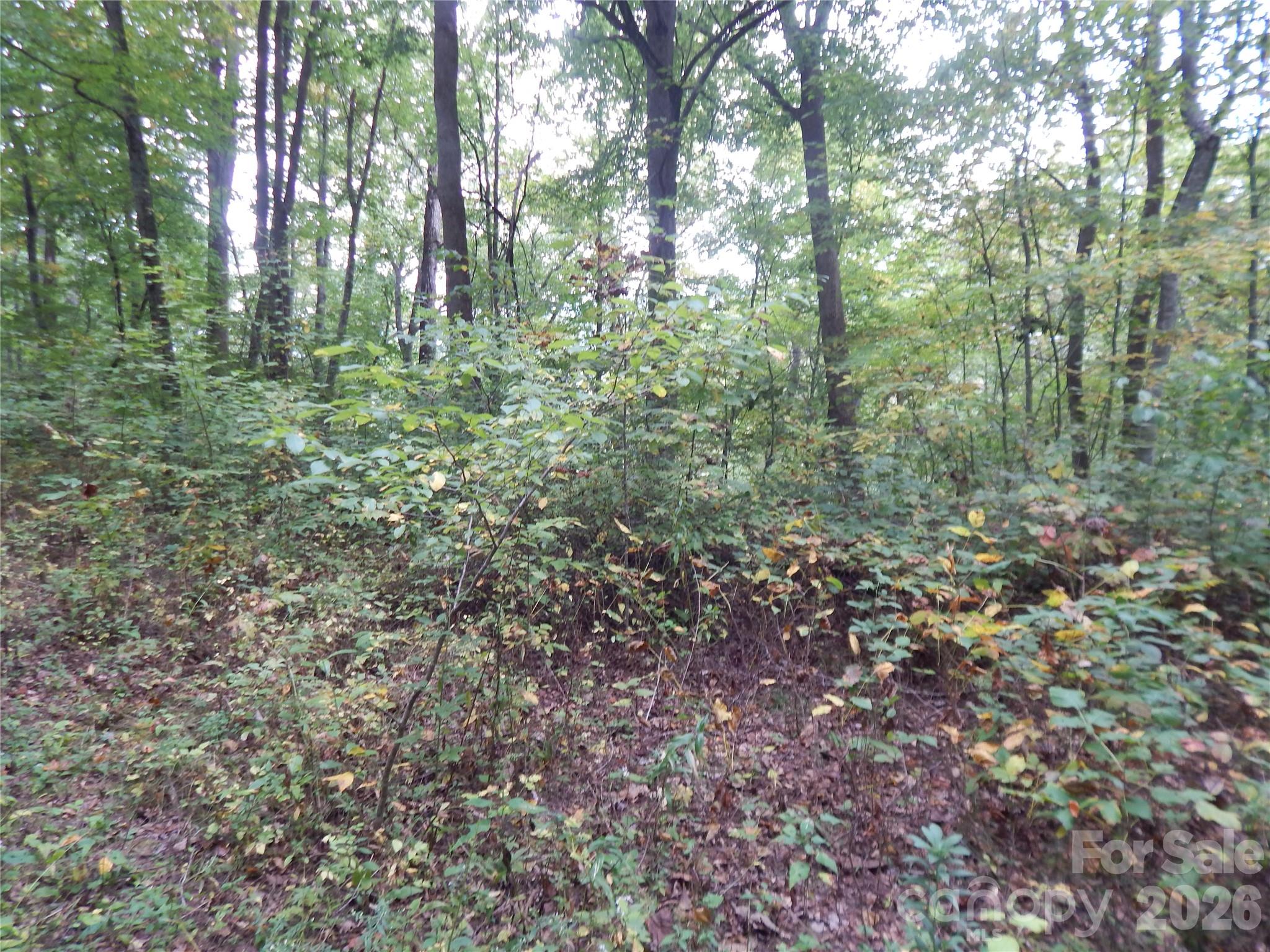 0 Henry Road Sylva, NC 28779 - Photo 19 of 25 Gallery Image 19