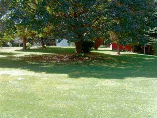 1247 Slippery Rock Road Grove City, PA 16127 - Photo 8 of 8 Yard/Garden.