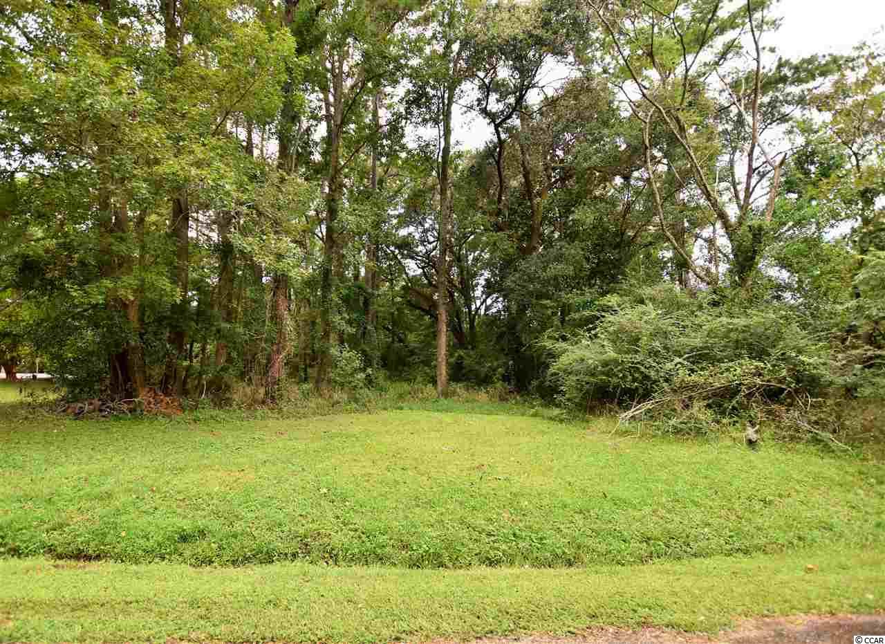 673 Wedgefield Georgetown, SC 29440 - Photo 3 of 12 Gallery Image 3