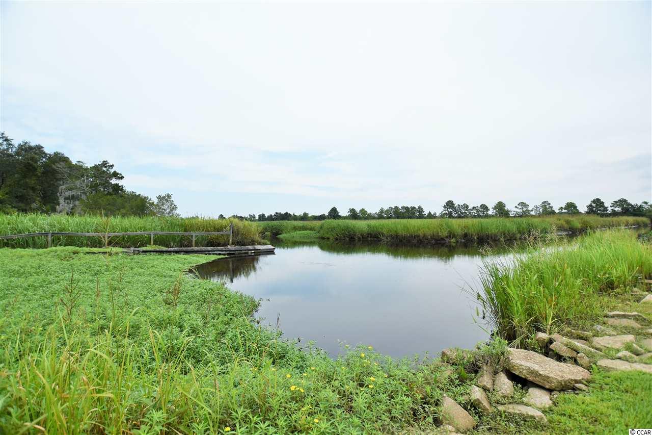 673 Wedgefield Georgetown, SC 29440 - Photo 10 of 12 Gallery Image 10