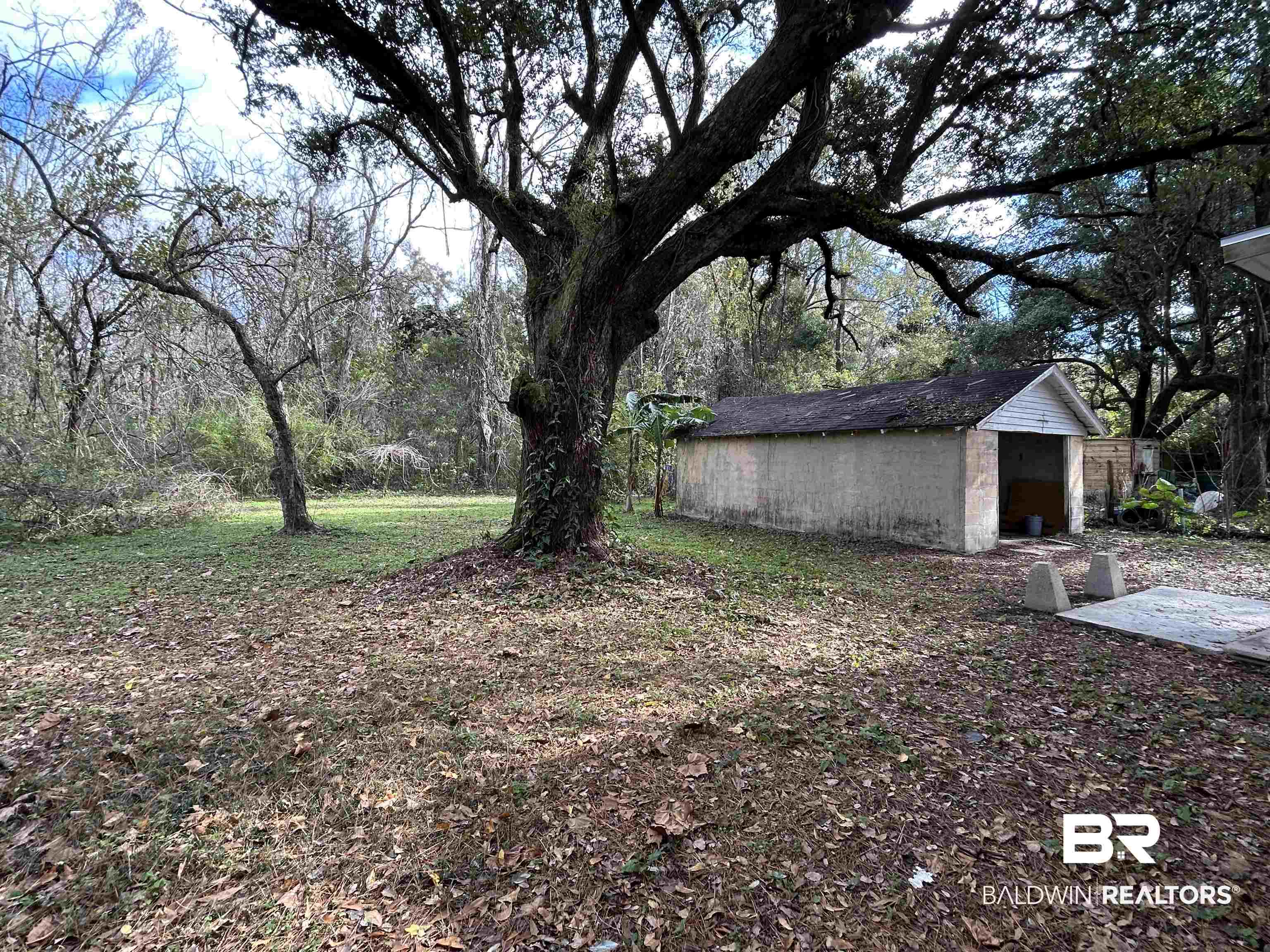2119 Hoppin Street Mobile, AL 36605 - Photo 6 of 23 View of yard with a shed