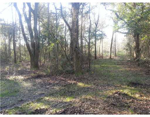 Meaut Rd Rd Pass Pass Christian, MS 39571 - Photo 2 of 11 Additional Photo