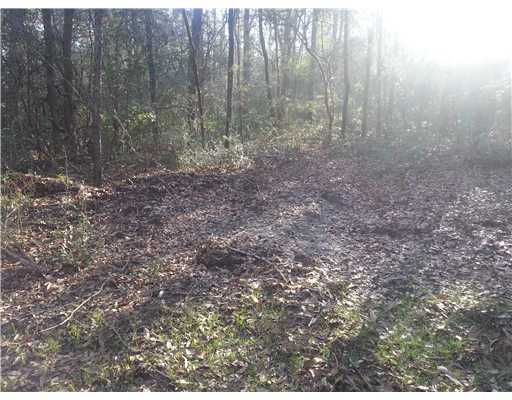 Meaut Rd Rd Pass Pass Christian, MS 39571 - Photo 3 of 11 Additional Photo