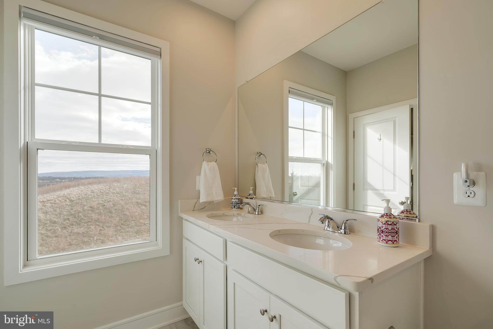 105 Checkerspot Way White Post, VA 22663 - Photo 32 of 37 a bathroom with a sink vanity and a mirror