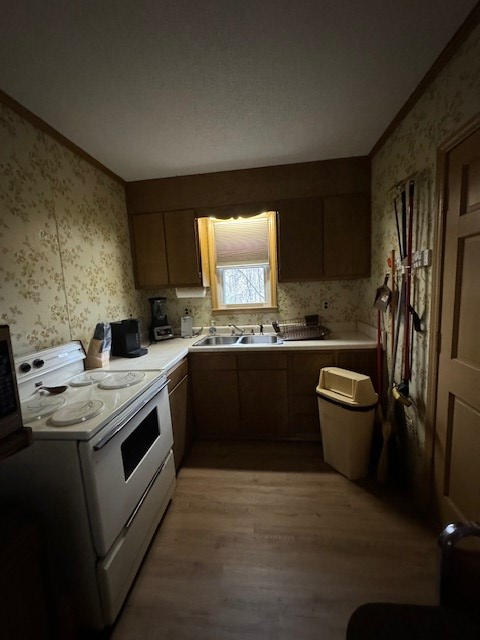 107 Fox Glen Road Fancy Gap, VA 24328 - Photo 8 of 18 Gallery Image 8