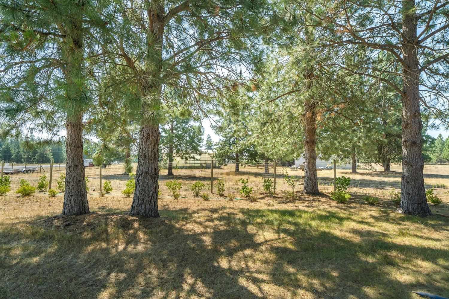 29020 North North Road Deer Park, WA 99006 - Photo 27 of 50 Gallery Image 27