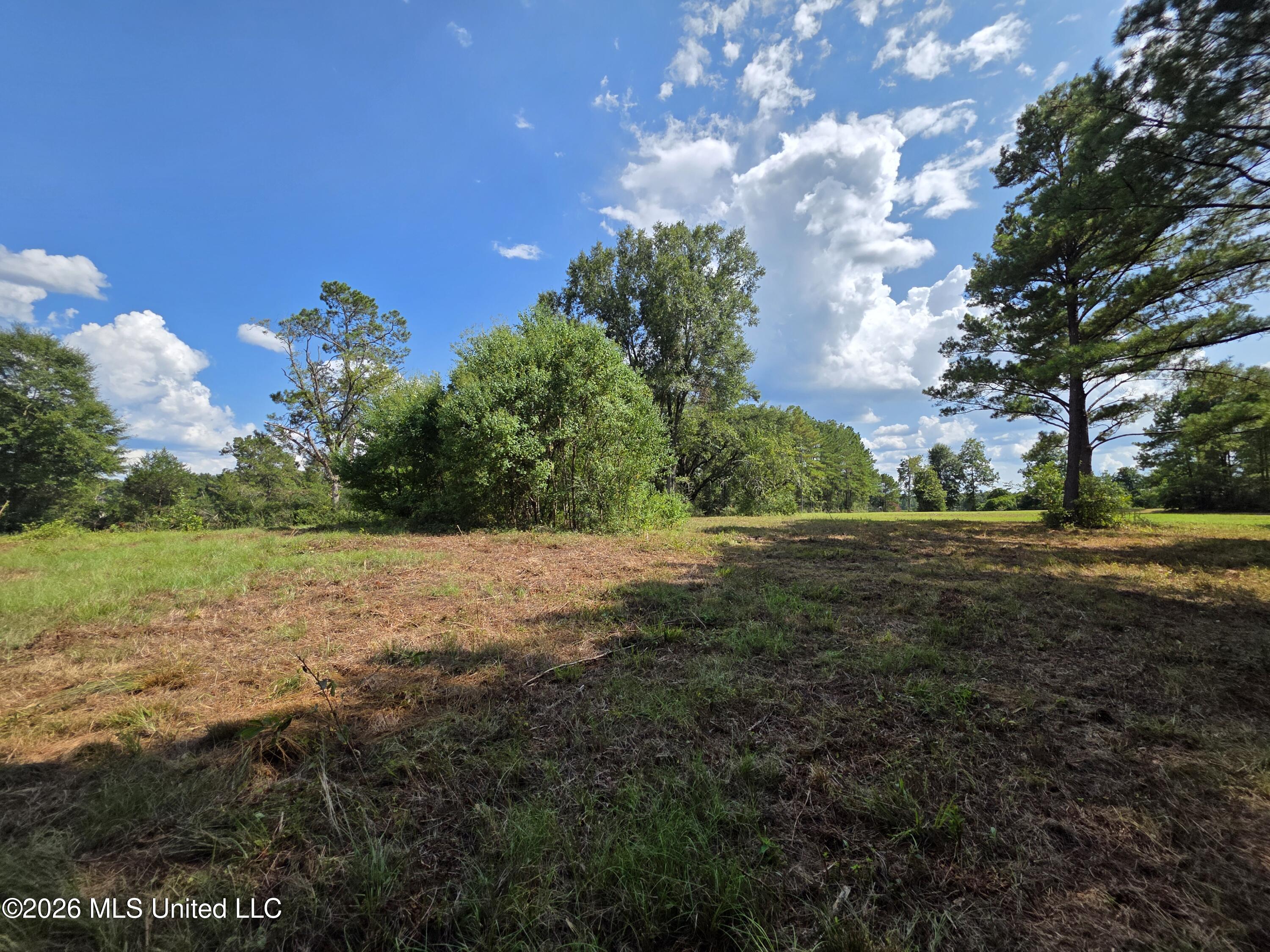 325 Double Ponds Road Prentiss, MS 39474 - Photo 23 of 43 39360