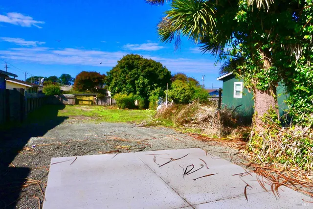 a view of a yard with plants