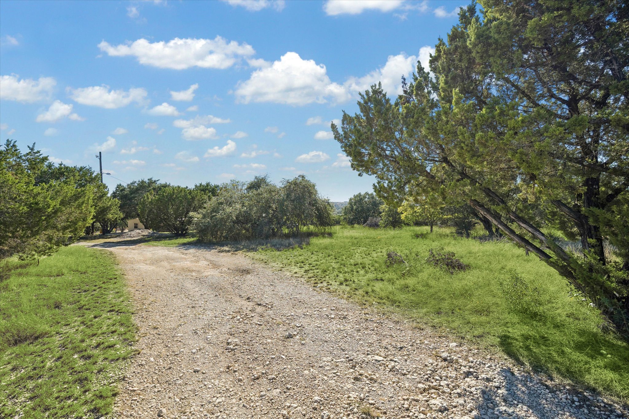 1091 Alta Vista Road Spicewood, TX 78669 - Photo 5 of 28 a view of a yard with an trees
