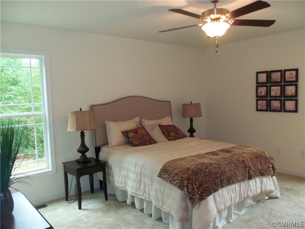 3963 Lost Mill Road Powhatan, VA 23139 - Photo 13 of 20 Gallery Image 13