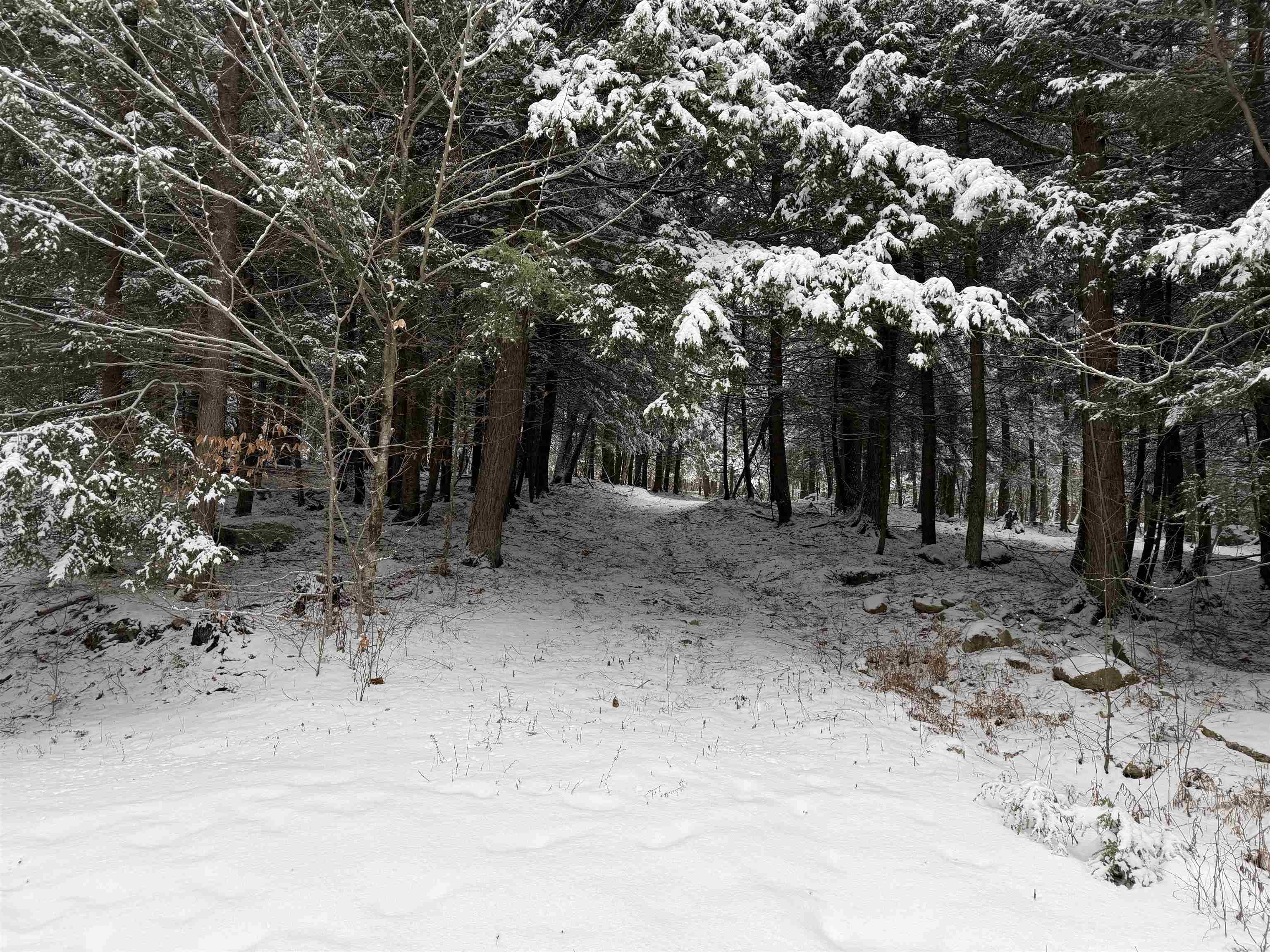 441 West Unity Road Claremont, NH 03743 - Photo 28 of 33