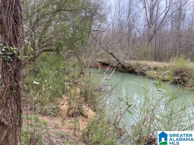 Pendley Creek Road, Unit 7 Carbon Hill, AL 35549 - Photo 5 of 10