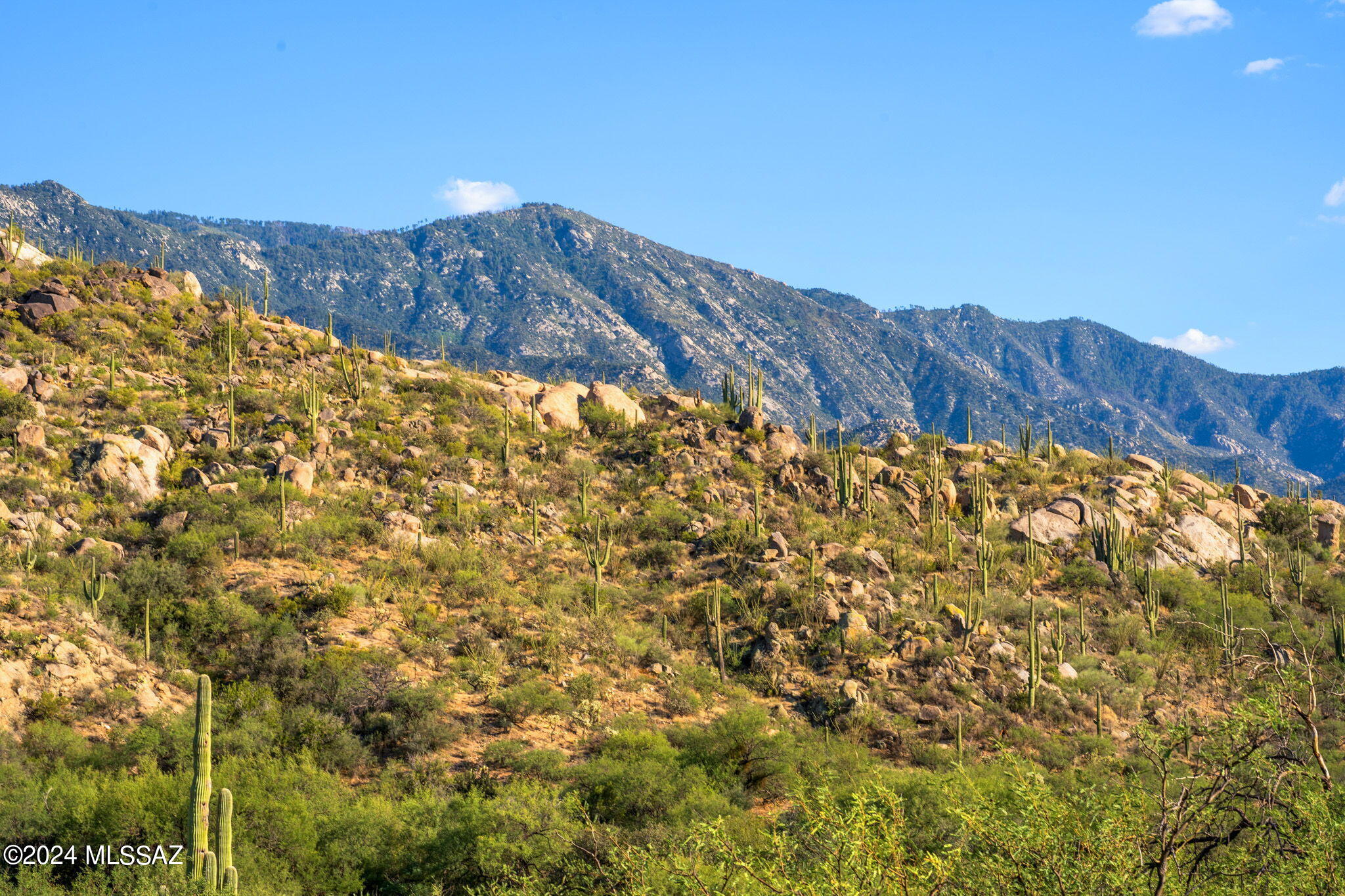 16500 North Ridge Rock Trail Tucson, AZ 85739 - Photo 17 of 29 13-web-or-mls-16500 N Ridge Rock Trail -
