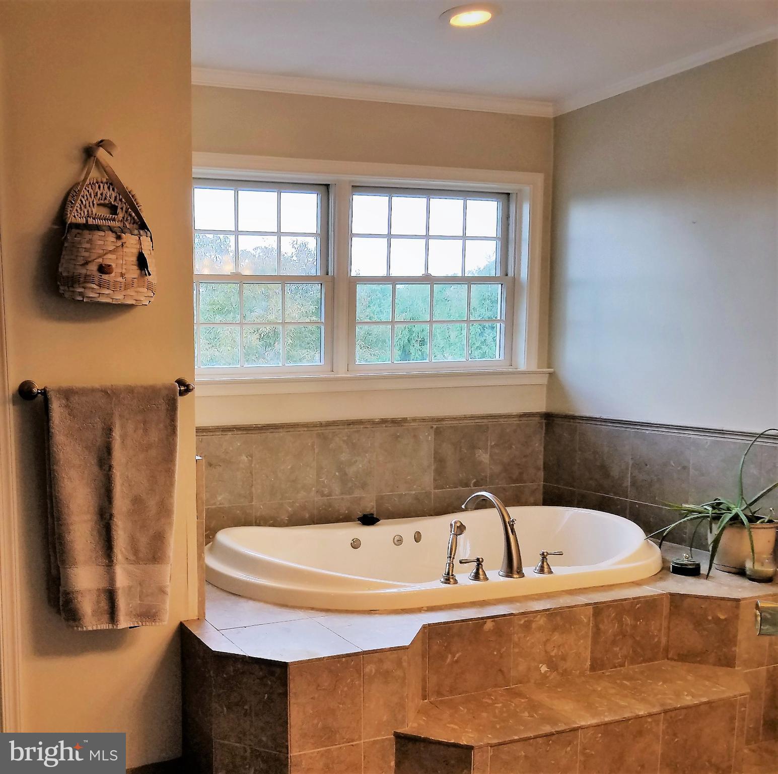 2920 Duncan Road White Hall, MD 21161 - Photo 17 of 40 Bath (Master) Jetted Tub