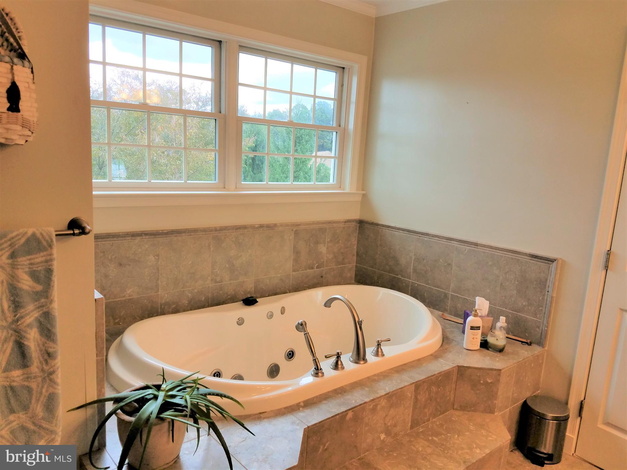 2920 Duncan Road White Hall, MD 21161 - Photo 20 of 40 Jetted Master Bath Tub
