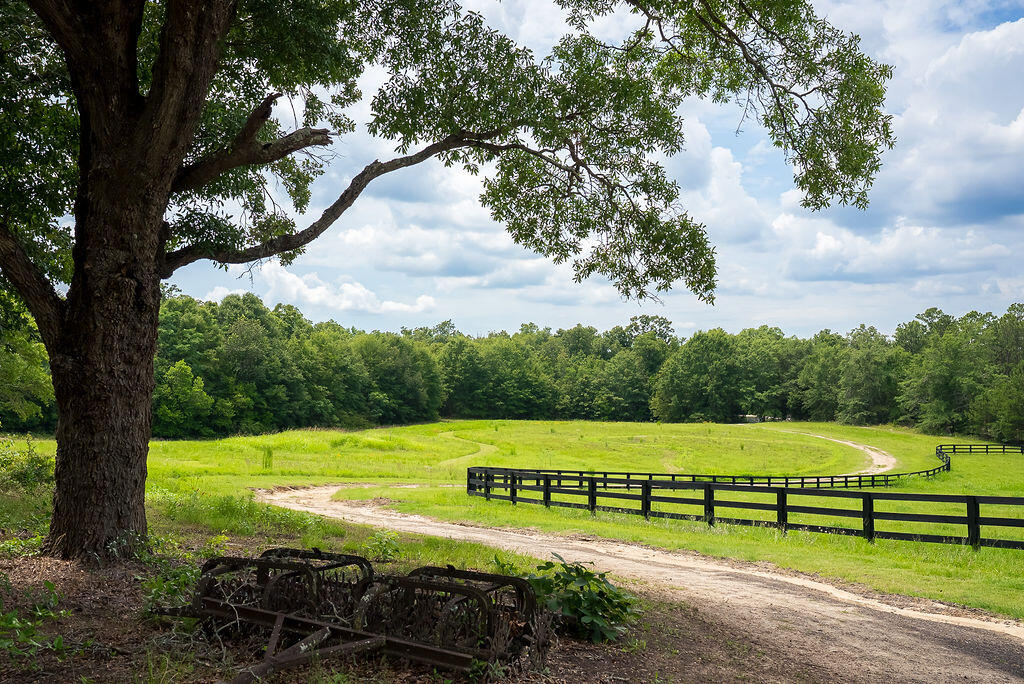 2300 Salley Road Salley, SC 29137 - Photo 5 of 101 Gallery Image 5