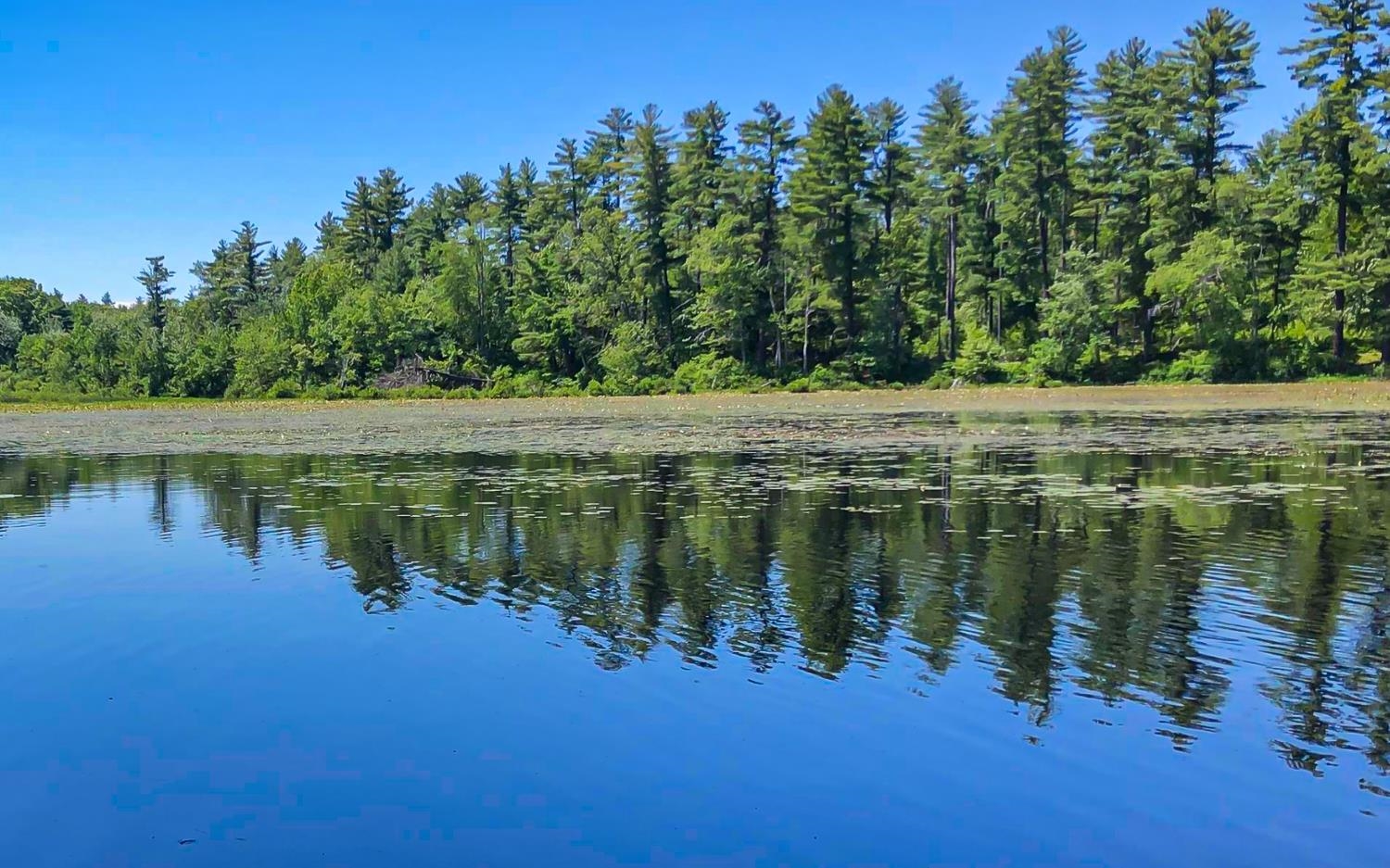 28 Morning Dove Road Kingston, NH 03848 - Photo 2 of 13
