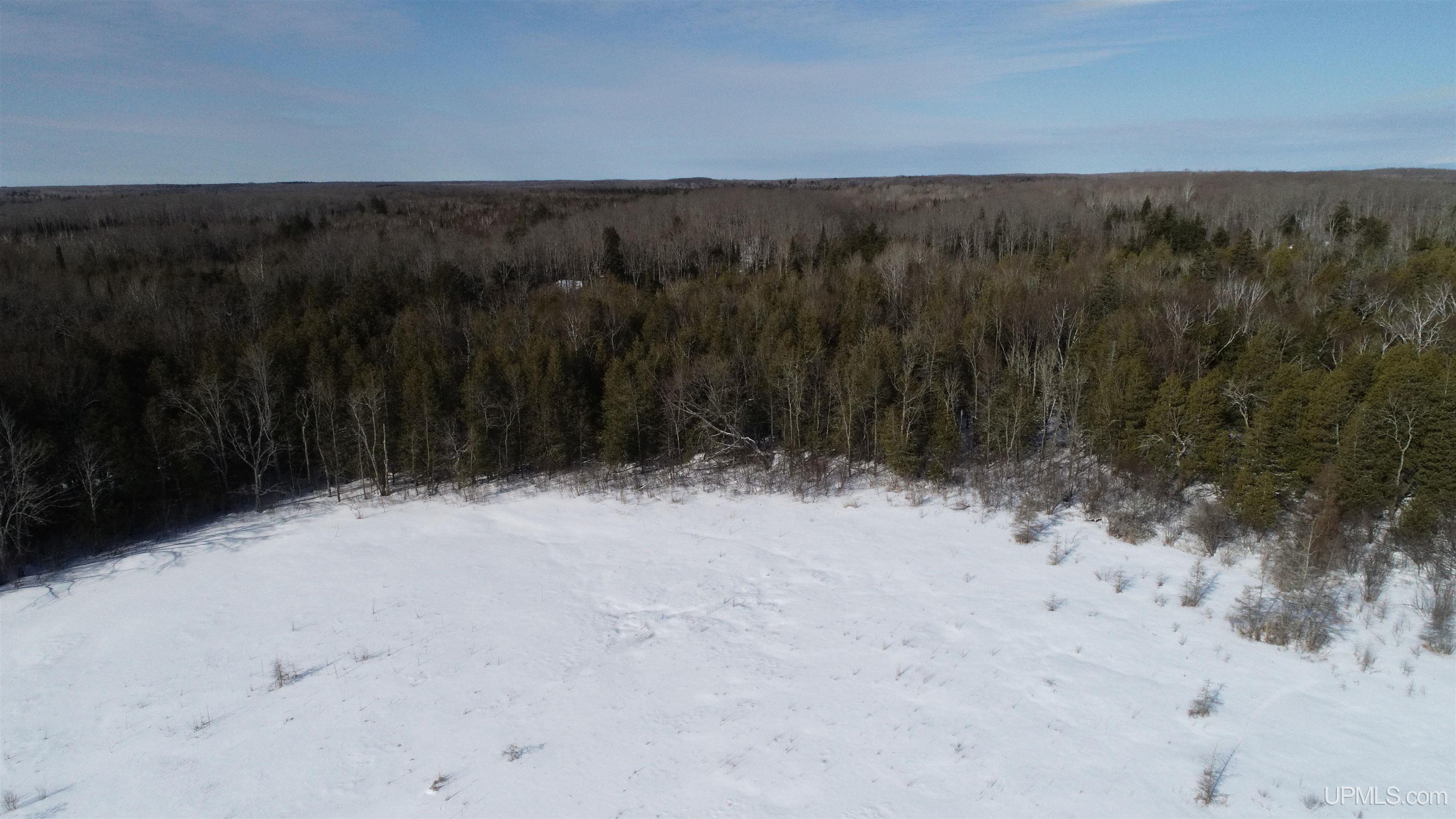 Tbd Tbd Long Point Road Curtis, MI 49820 - Photo 26 of 77
