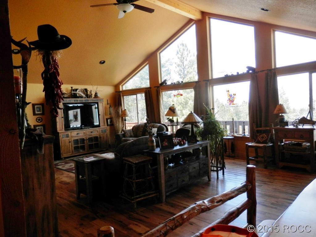 918 Bellows Road Hartsel, CO 80449 - Photo 4 of 24