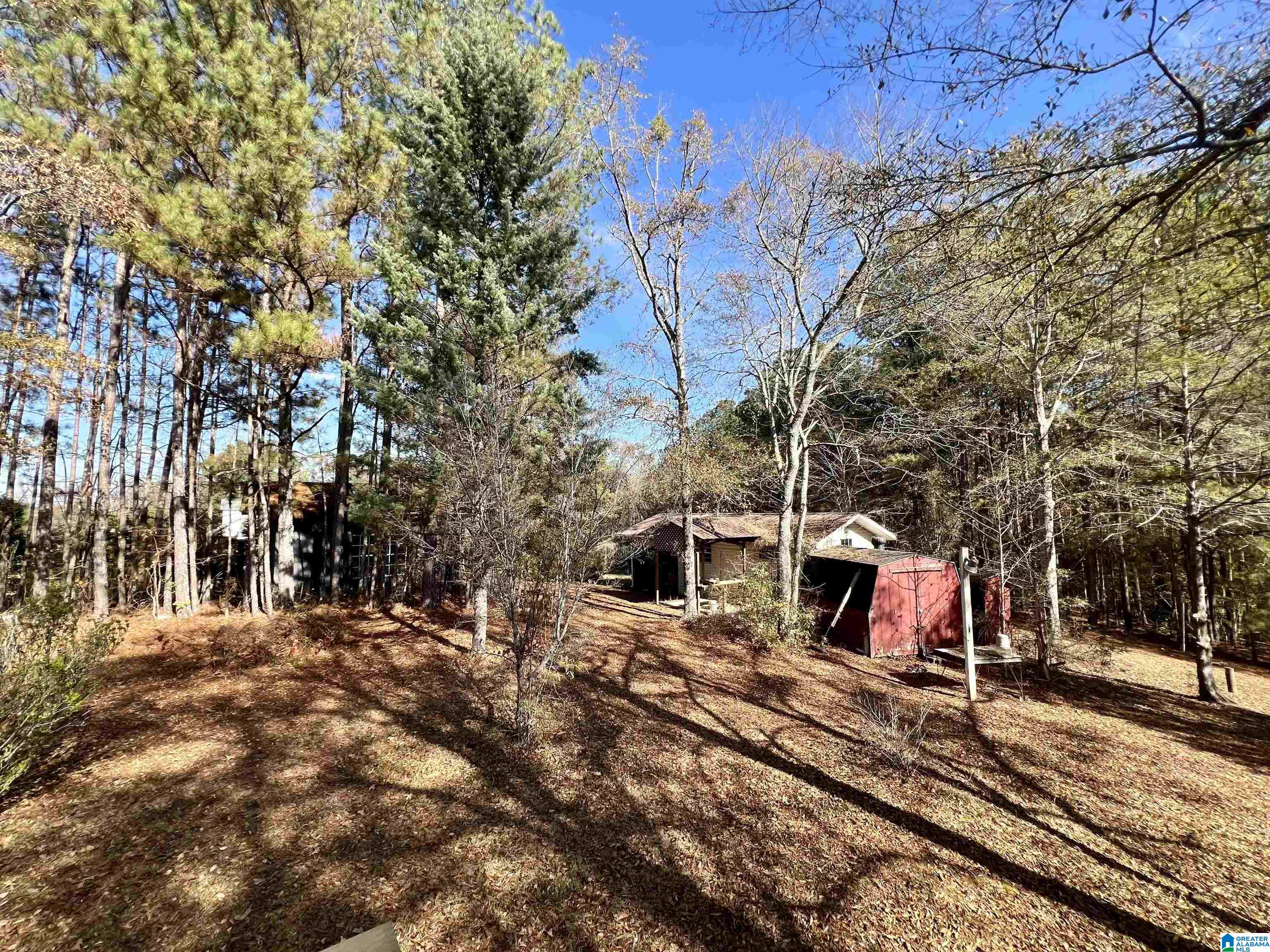 151 Mill Street Wedowee, AL 36278 - Photo 14 of 31
