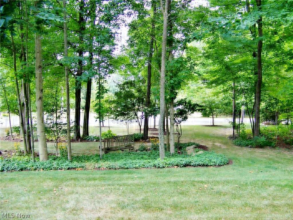 625 Wall Road Wadsworth, OH 44281 - Photo 29 of 29 Wooded lot