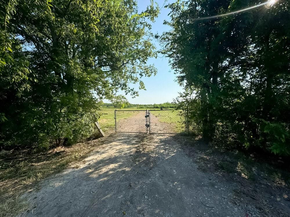 a view of a yard with a tree