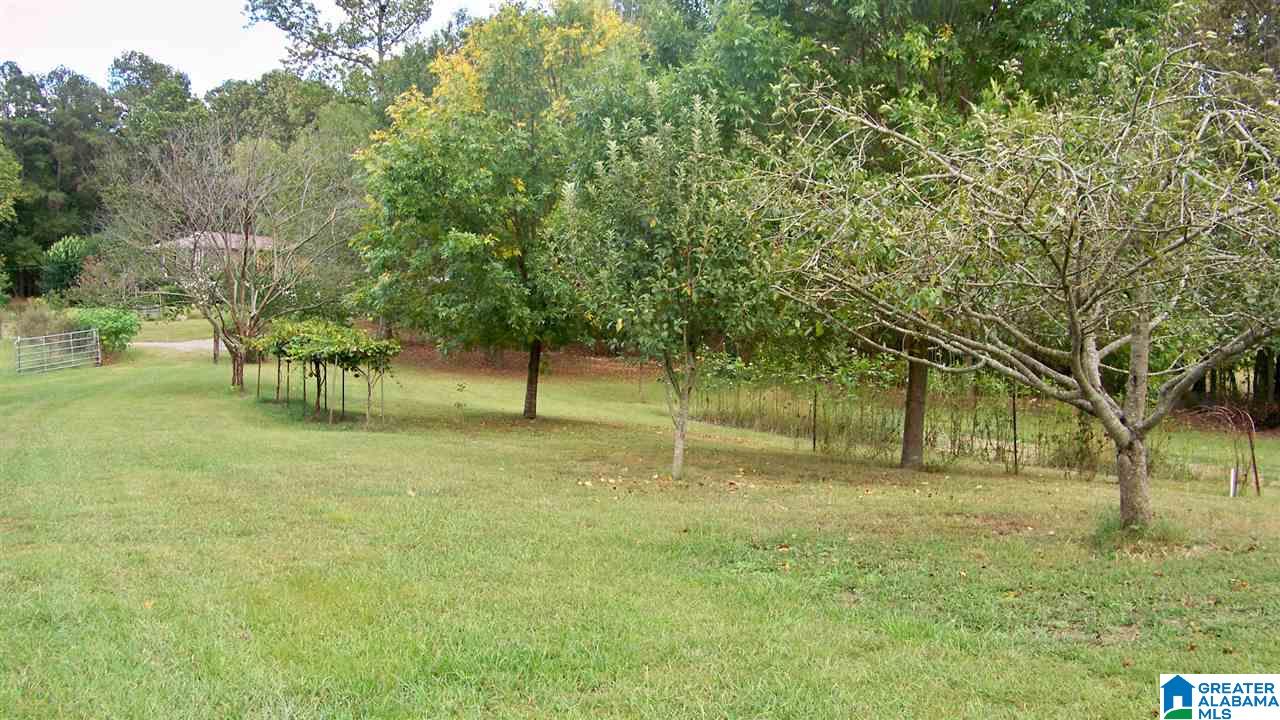 455 Bristow Creek Road Altoona, AL 35952 - Photo 17 of 21