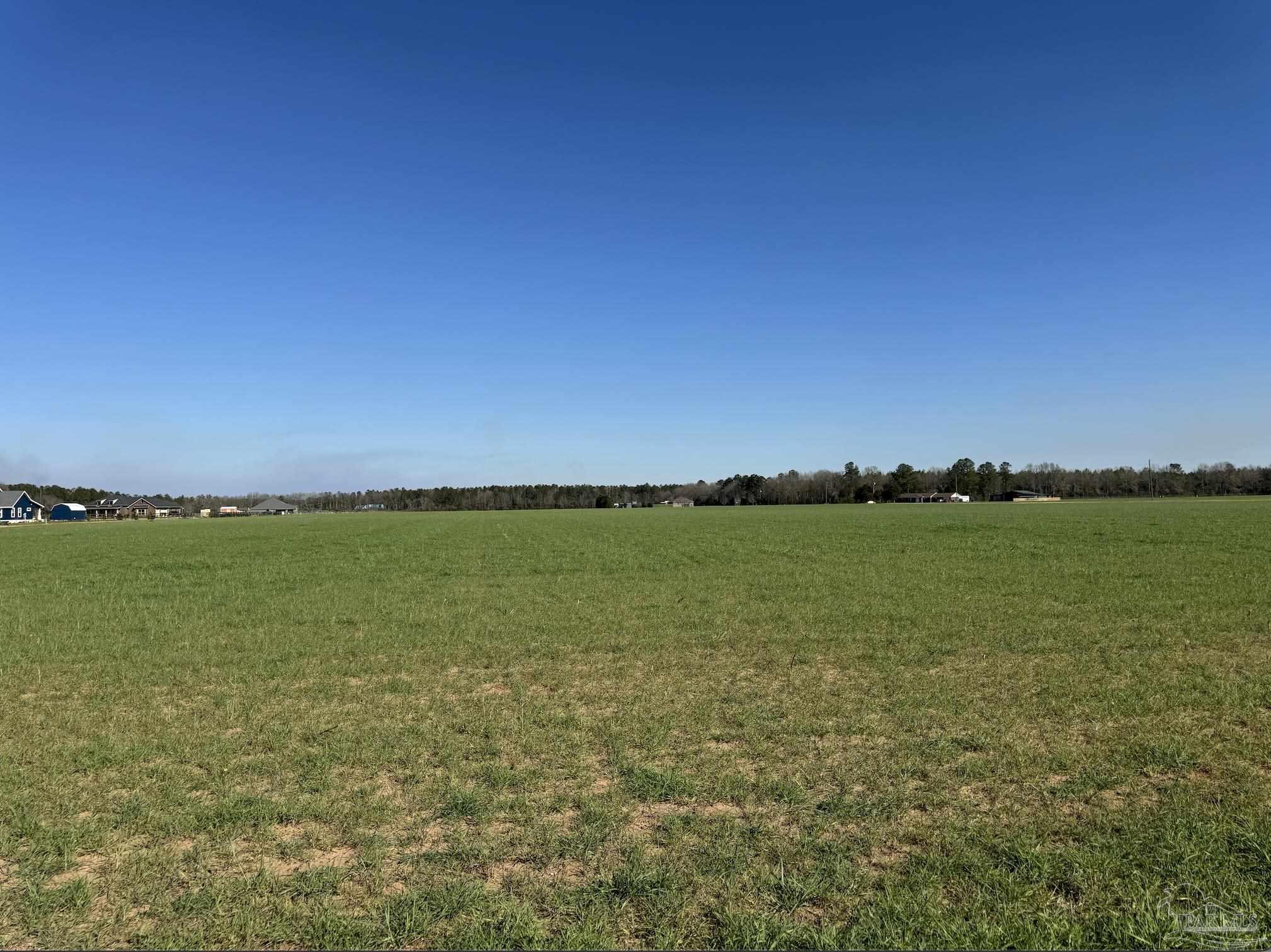 Lot 5 Salter Road Pace, FL 32571 - Photo 2 of 3