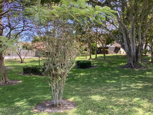 a view of backyard with tree