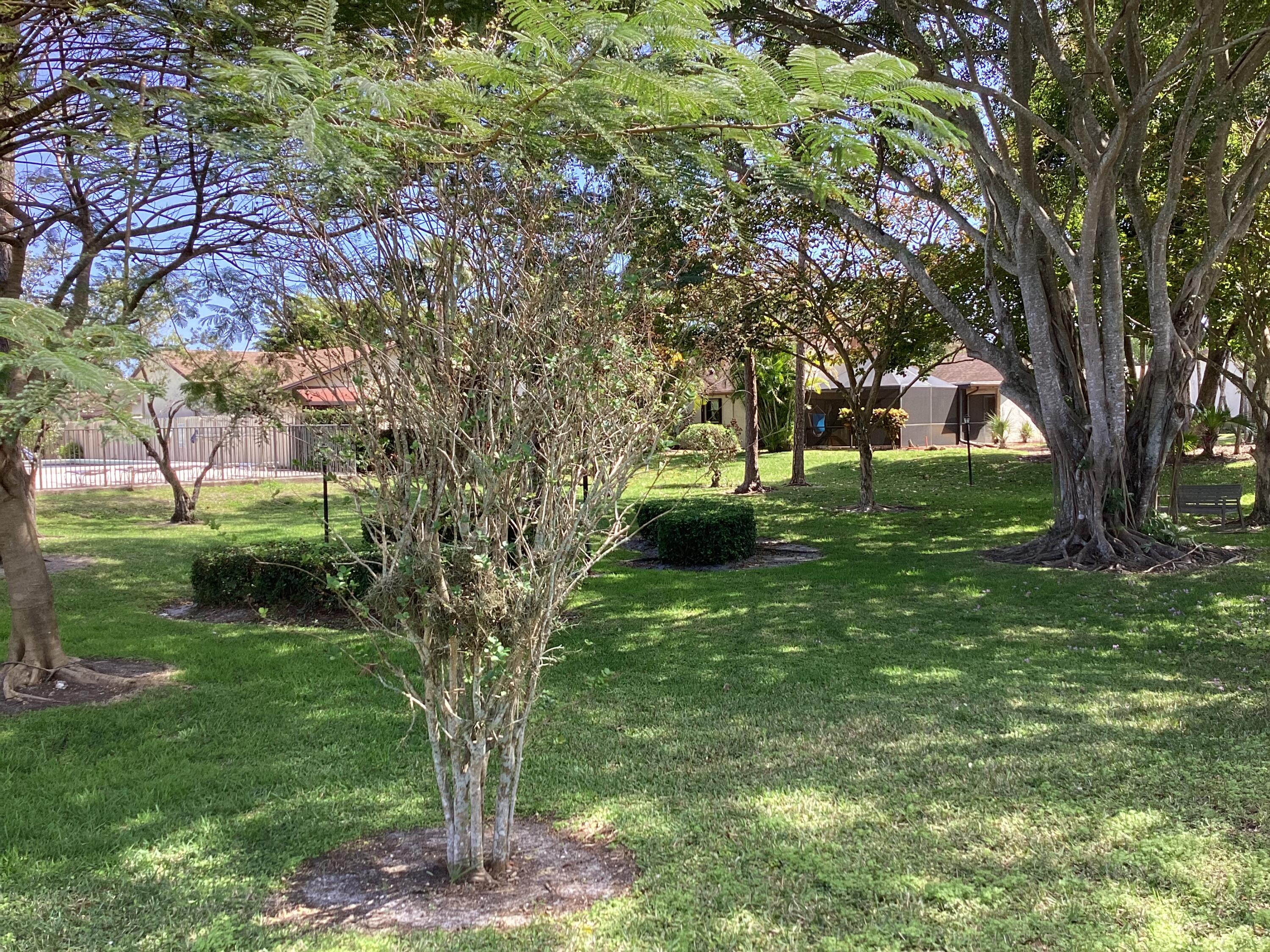 8895 Old Pine Road, Unit 4 Boca Raton, FL 33433 - Photo 42 of 46 a view of backyard with tree