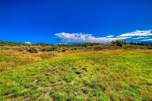 a view of a lake and a building