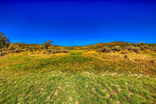 a view of a yard with a lake view