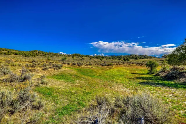 a view of a beach with a yard