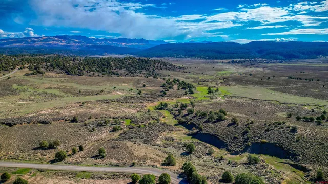 a view of a yard with an ocean beach