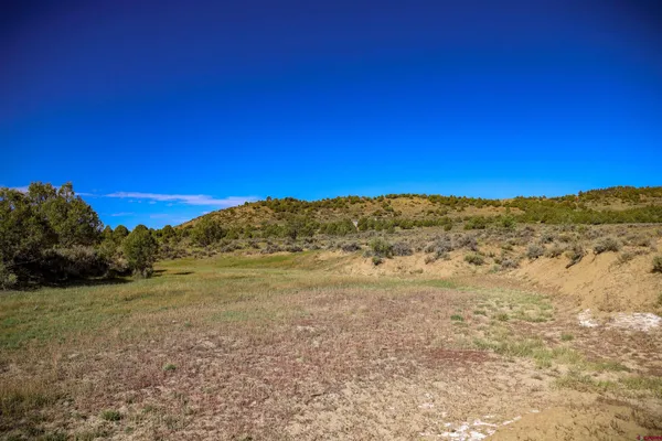 $199,000 | X Tall Pine Place, Pagosa Springs, CO 81147