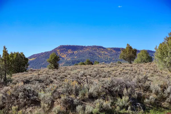 $199,000 | X Tall Pine Place, Pagosa Springs, CO 81147