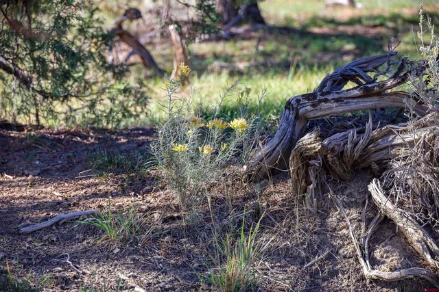 a view of mountain view