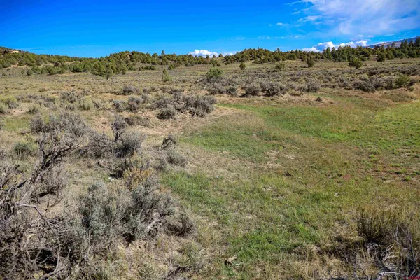 $199,000 | X Tall Pine Place, Pagosa Springs, CO 81147